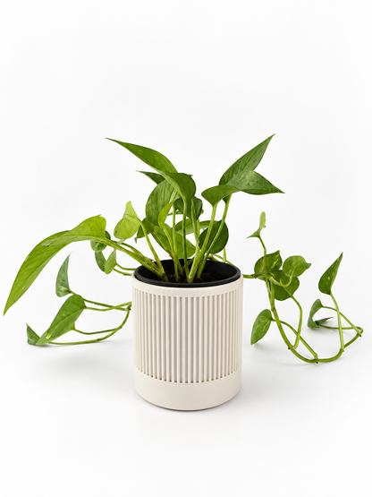 Contour Planter