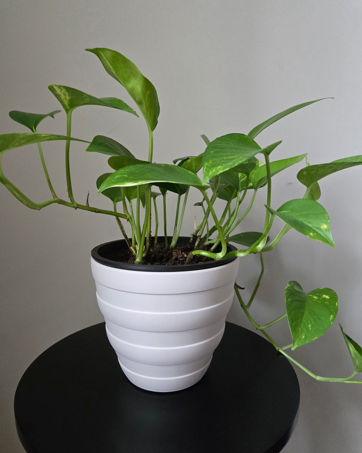 Woodland Planter